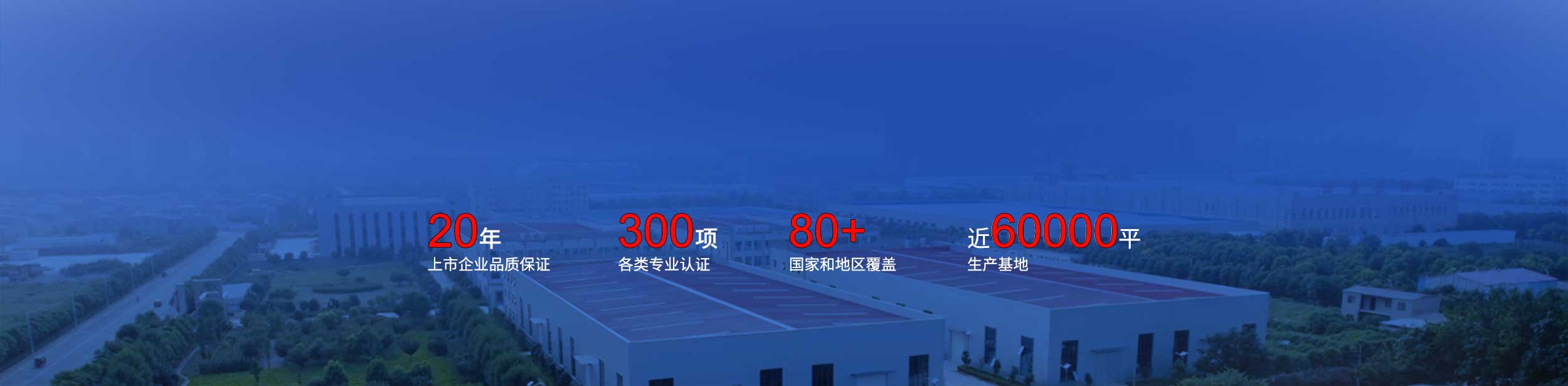 关于球速体育